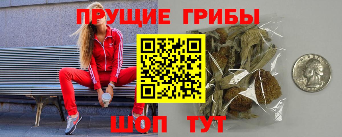 Видное  наркотики  Вход с VPN  Галлюциногенные грибы GOLDEN TEACHER  Галлюциногенные грибы Psilocybe 